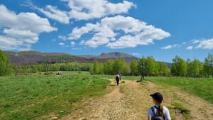 Rzucić wszystko i wyjechać w Bieszczady…